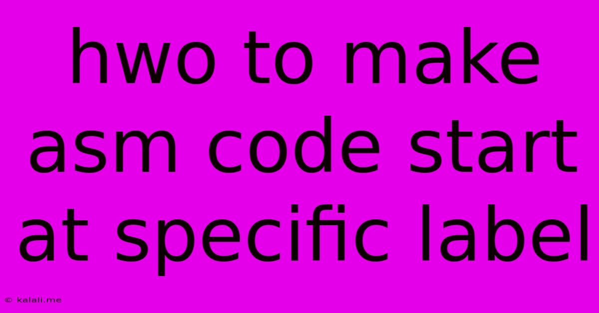 Hwo To Make Asm Code Start At Specific Label