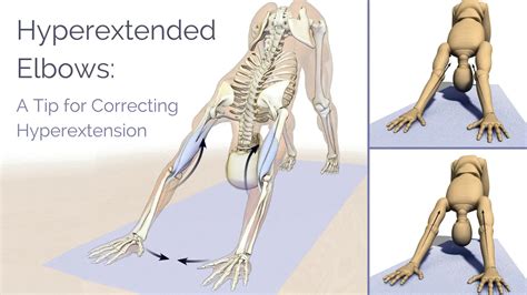 Hyperextension Bends A Joint In The Opposite Direction As Flexion.