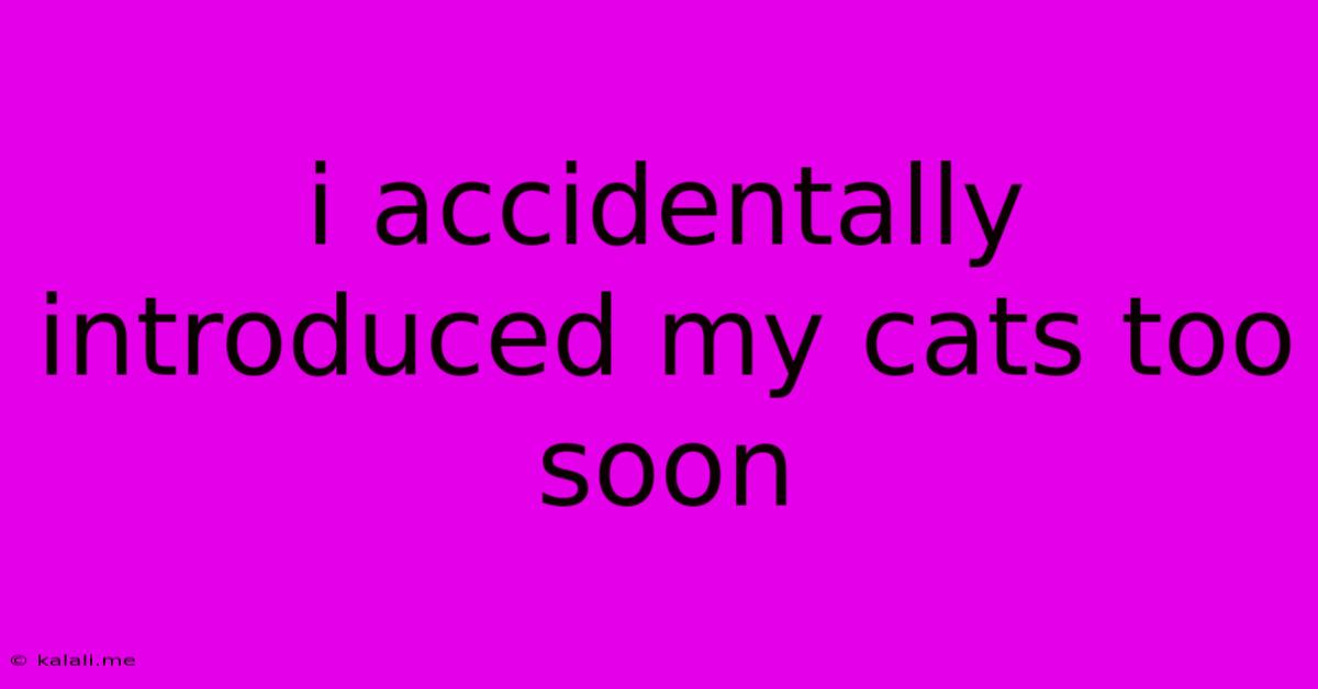I Accidentally Introduced My Cats Too Soon