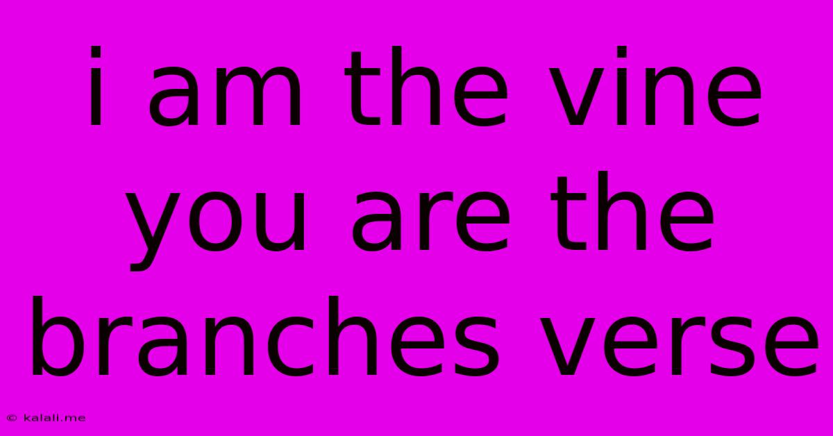 I Am The Vine You Are The Branches Verse