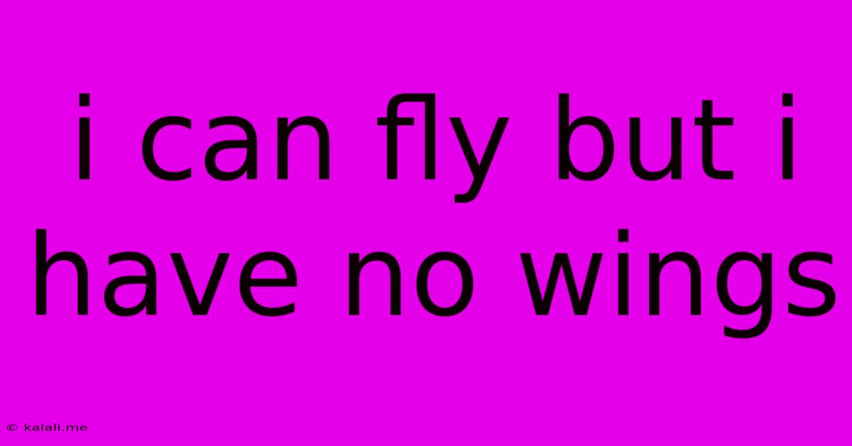 I Can Fly But I Have No Wings