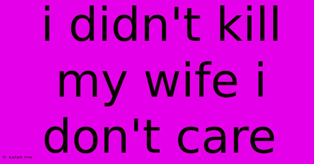 I Didn't Kill My Wife I Don't Care