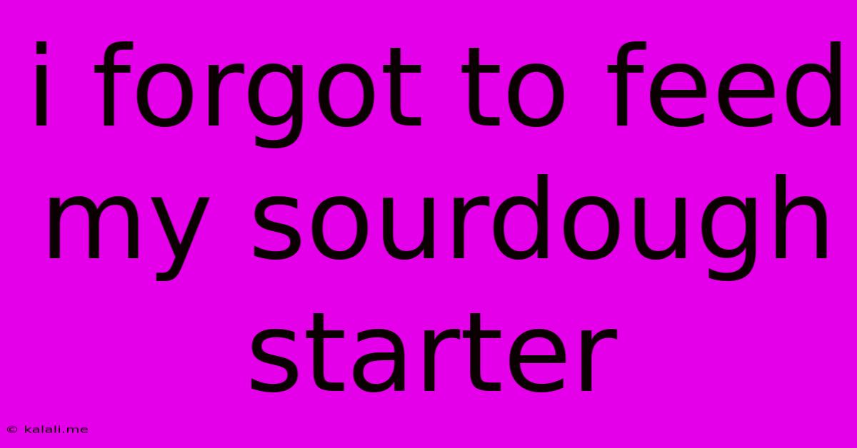 I Forgot To Feed My Sourdough Starter