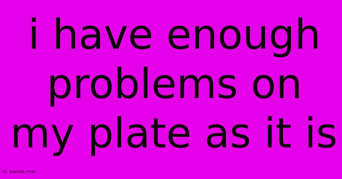 I Have Enough Problems On My Plate As It Is