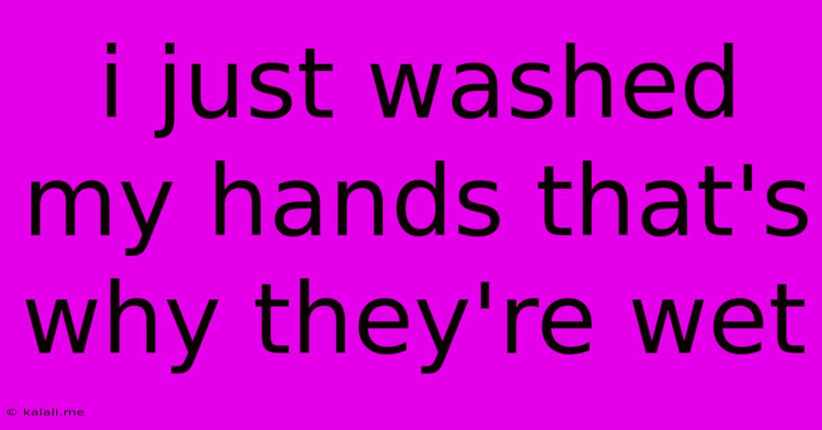 I Just Washed My Hands That's Why They're Wet