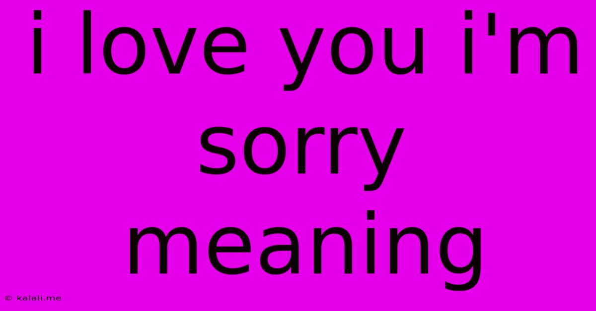 I Love You I'm Sorry Meaning