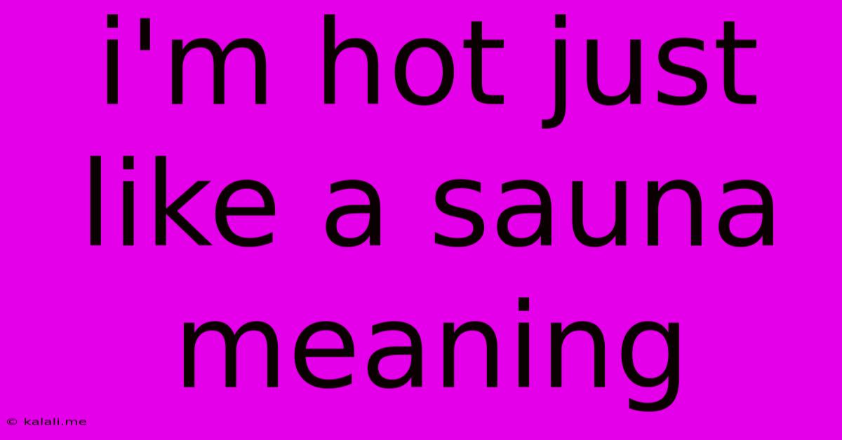 I'm Hot Just Like A Sauna Meaning