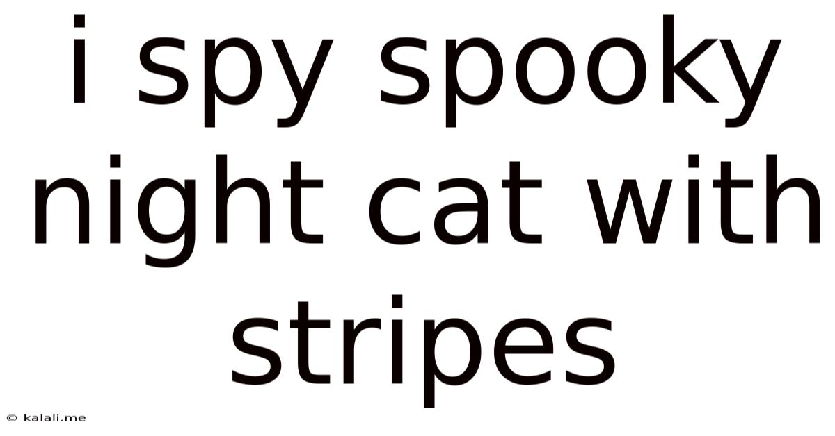 I Spy Spooky Night Cat With Stripes