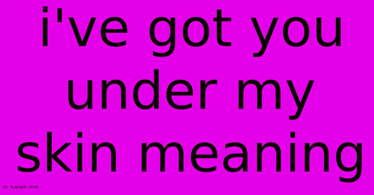 I've Got You Under My Skin Meaning