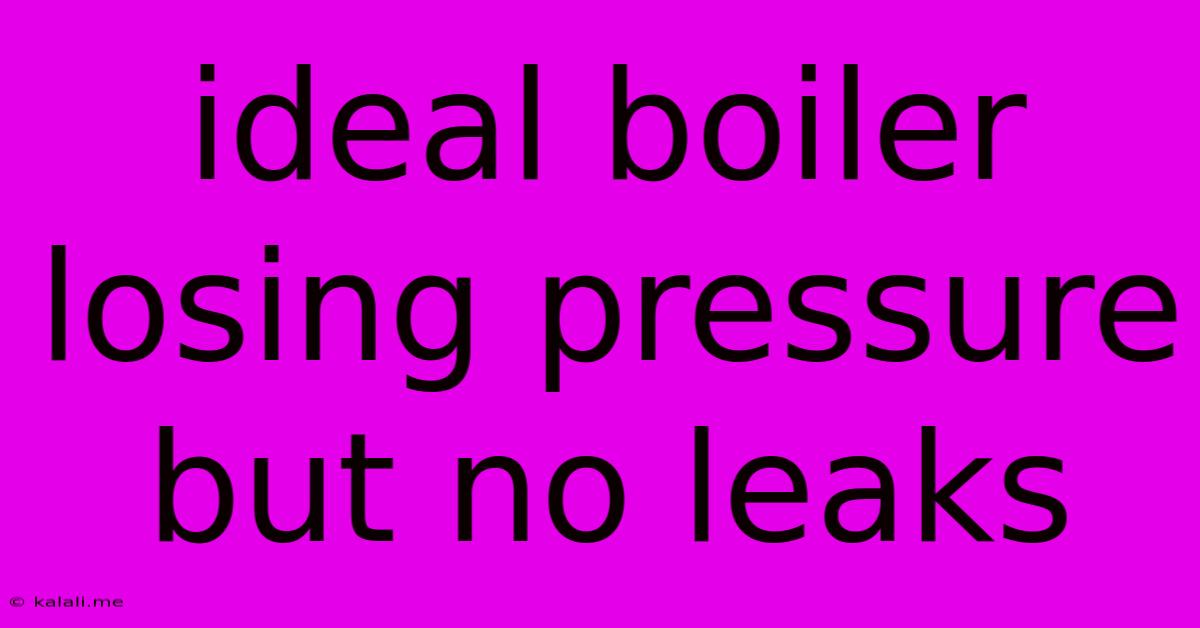 Ideal Boiler Losing Pressure But No Leaks