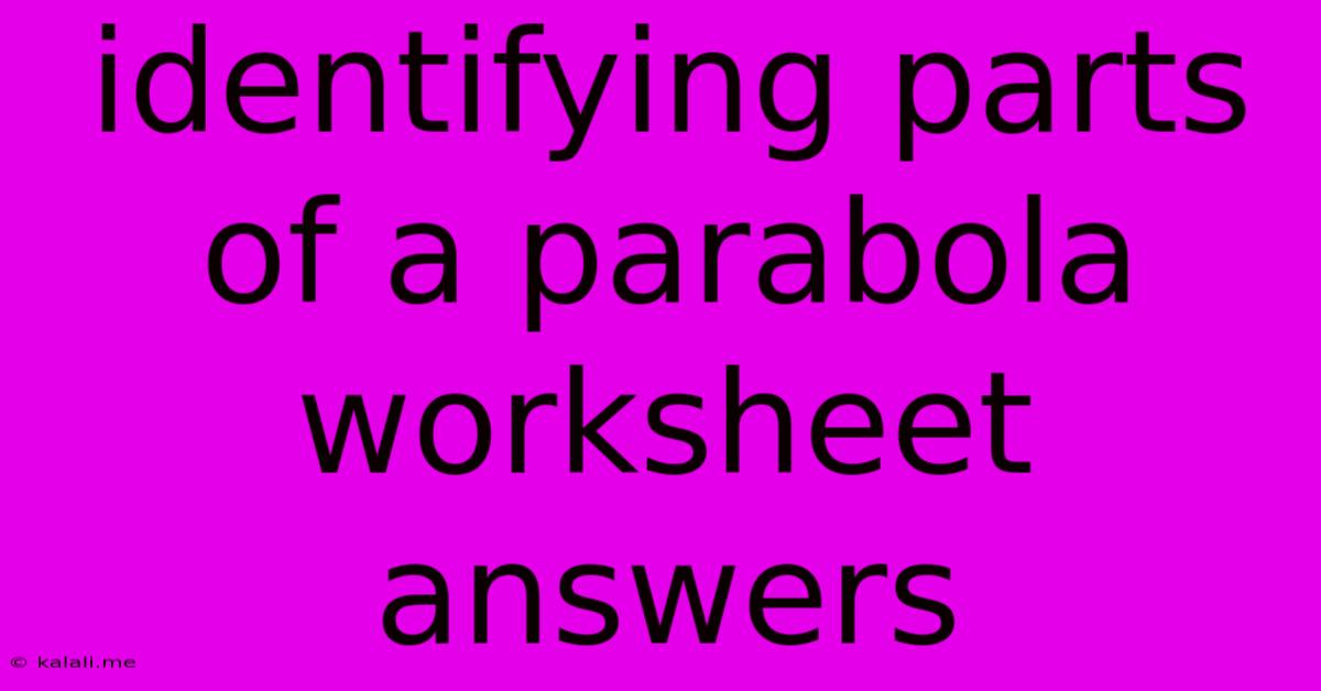 Identifying Parts Of A Parabola Worksheet Answers