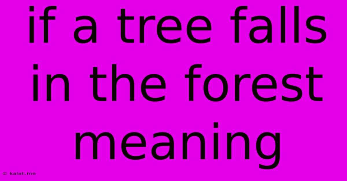 If A Tree Falls In The Forest Meaning