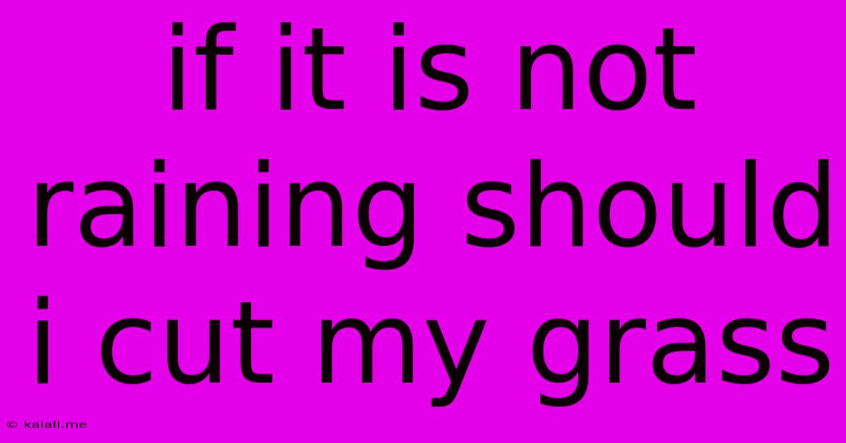 If It Is Not Raining Should I Cut My Grass