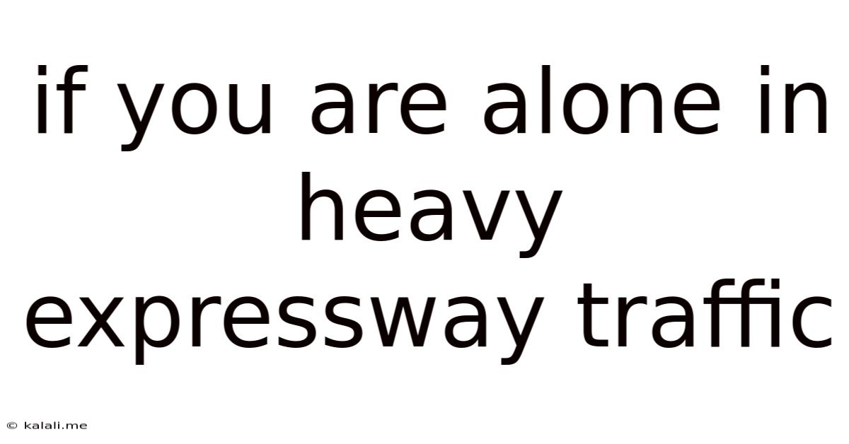 If You Are Alone In Heavy Expressway Traffic