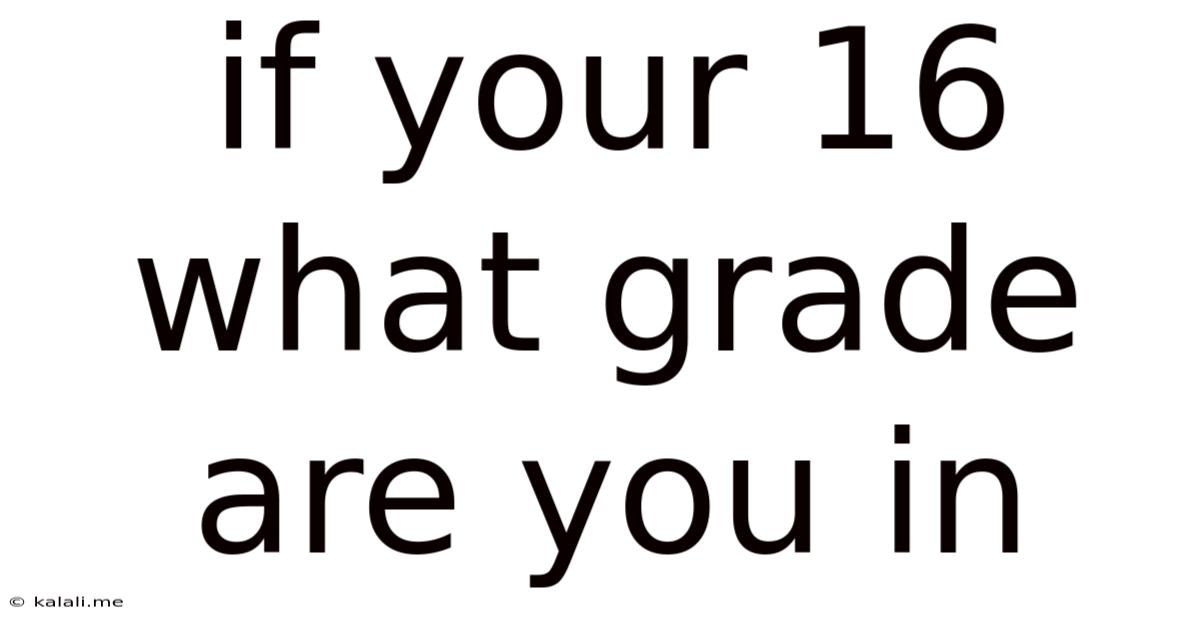 If Your 16 What Grade Are You In