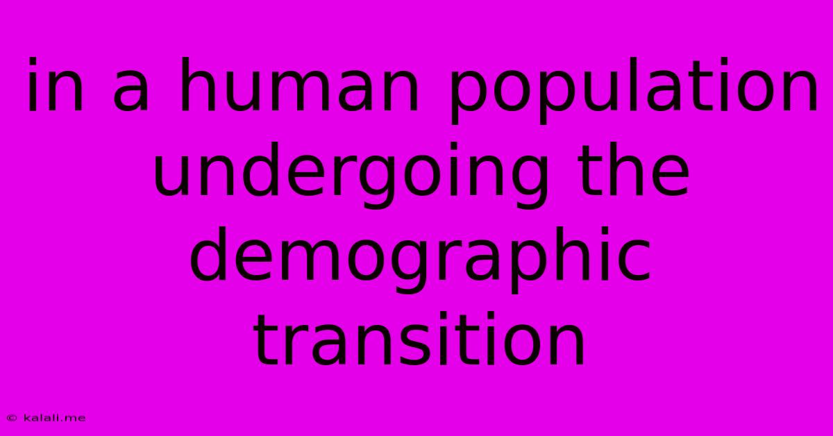 In A Human Population Undergoing The Demographic Transition