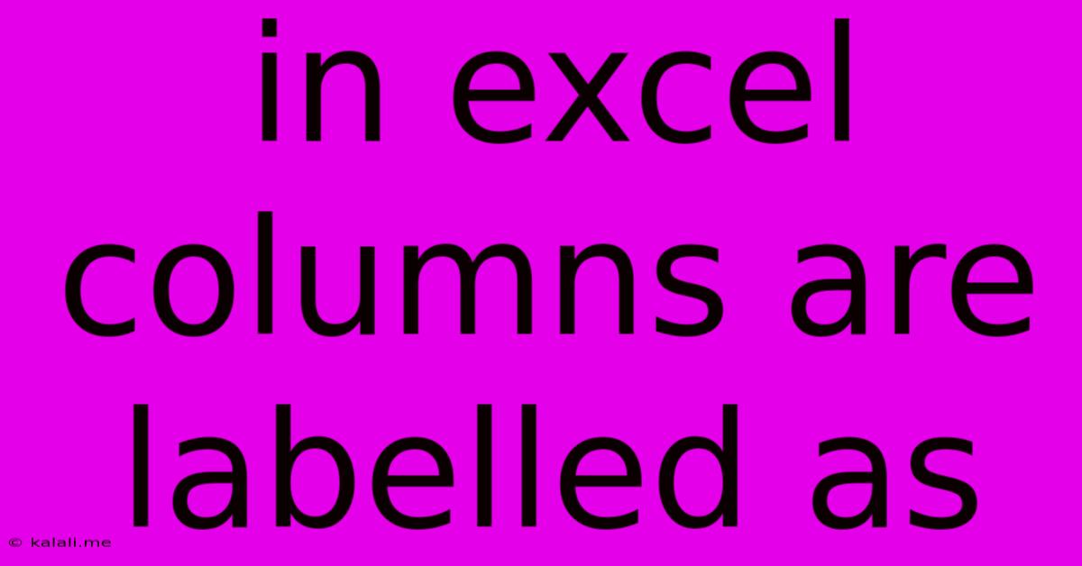 In Excel Columns Are Labelled As