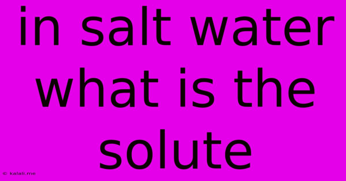 In Salt Water What Is The Solute