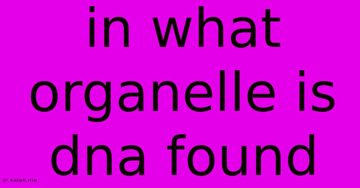 In What Organelle Is Dna Found