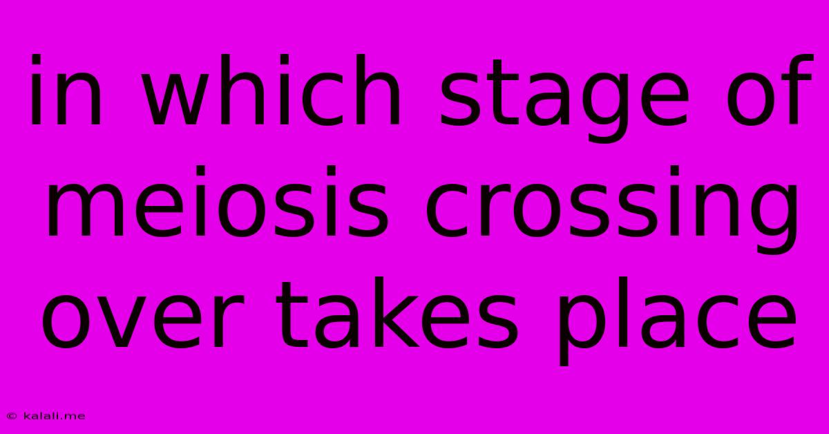 In Which Stage Of Meiosis Crossing Over Takes Place