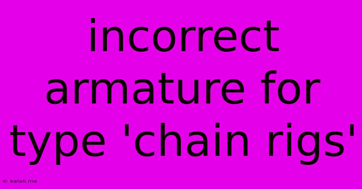 Incorrect Armature For Type 'chain Rigs'