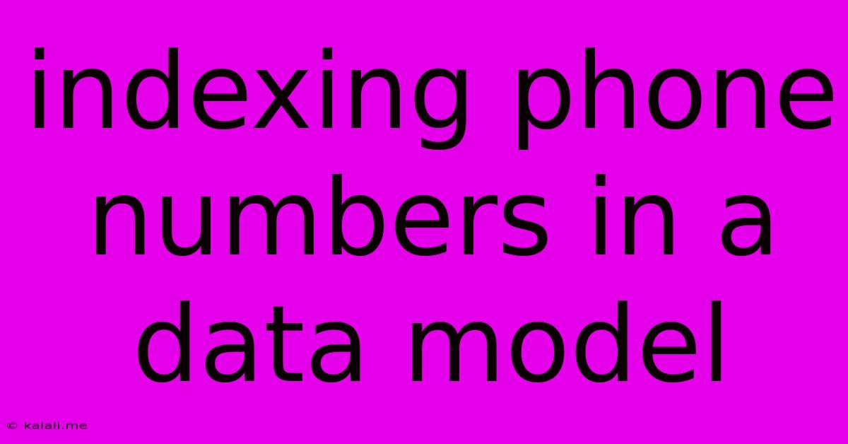 Indexing Phone Numbers In A Data Model