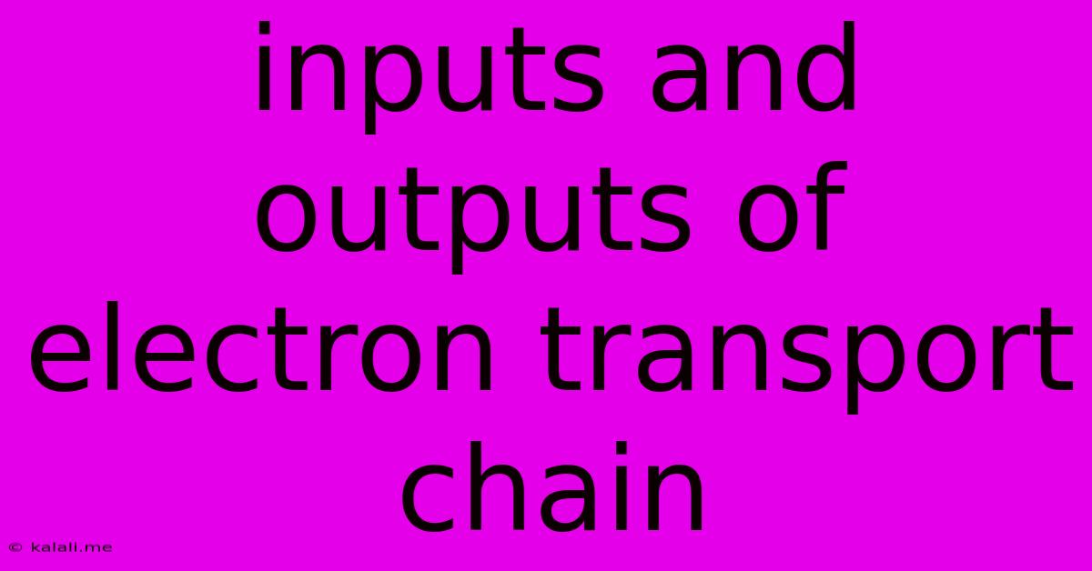 Inputs And Outputs Of Electron Transport Chain