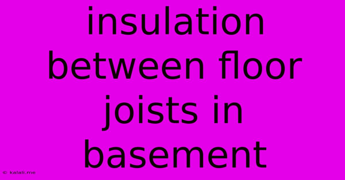 Insulation Between Floor Joists In Basement