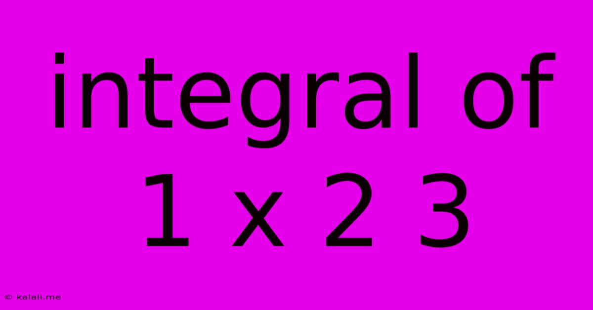 Integral Of 1 X 2 3