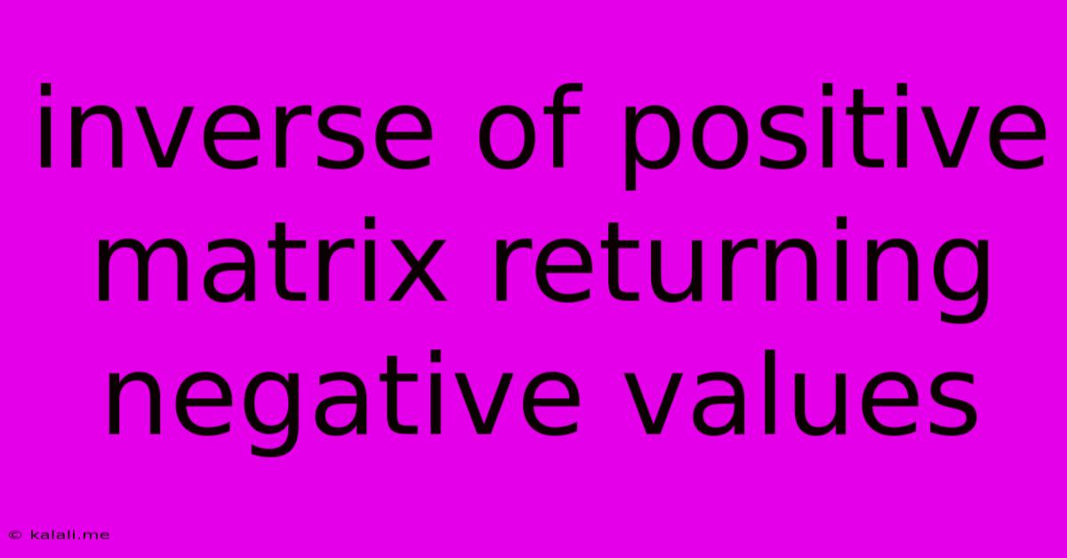 Inverse Of Positive Matrix Returning Negative Values