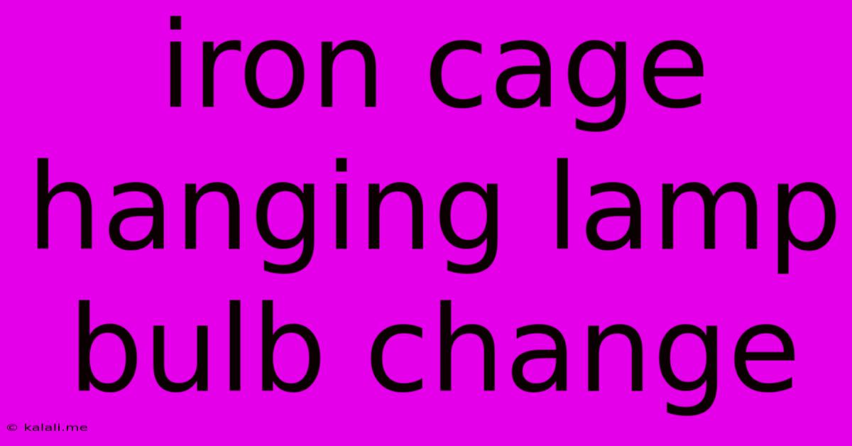 Iron Cage Hanging Lamp Bulb Change