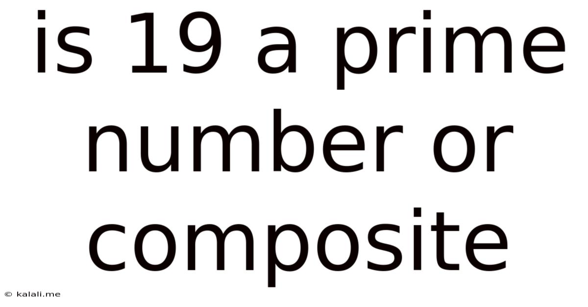 Is 19 A Prime Number Or Composite
