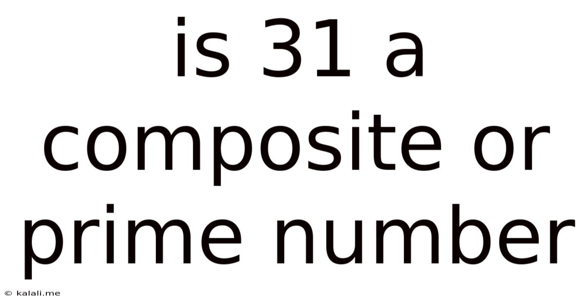 Is 31 A Composite Or Prime Number