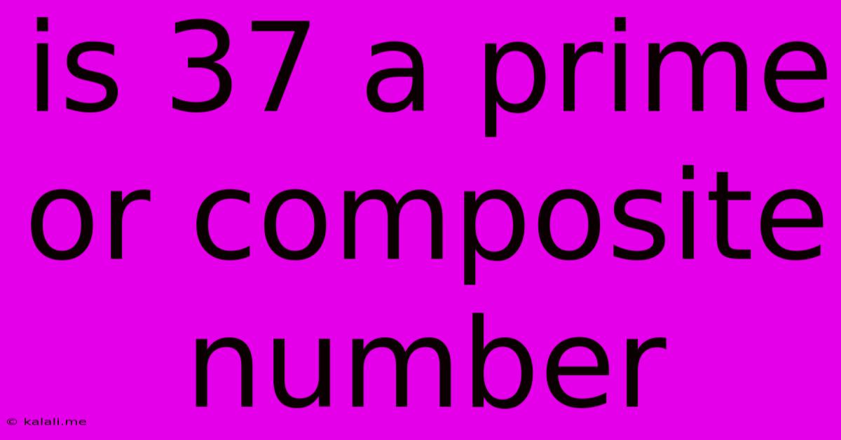 Is 37 A Prime Or Composite Number
