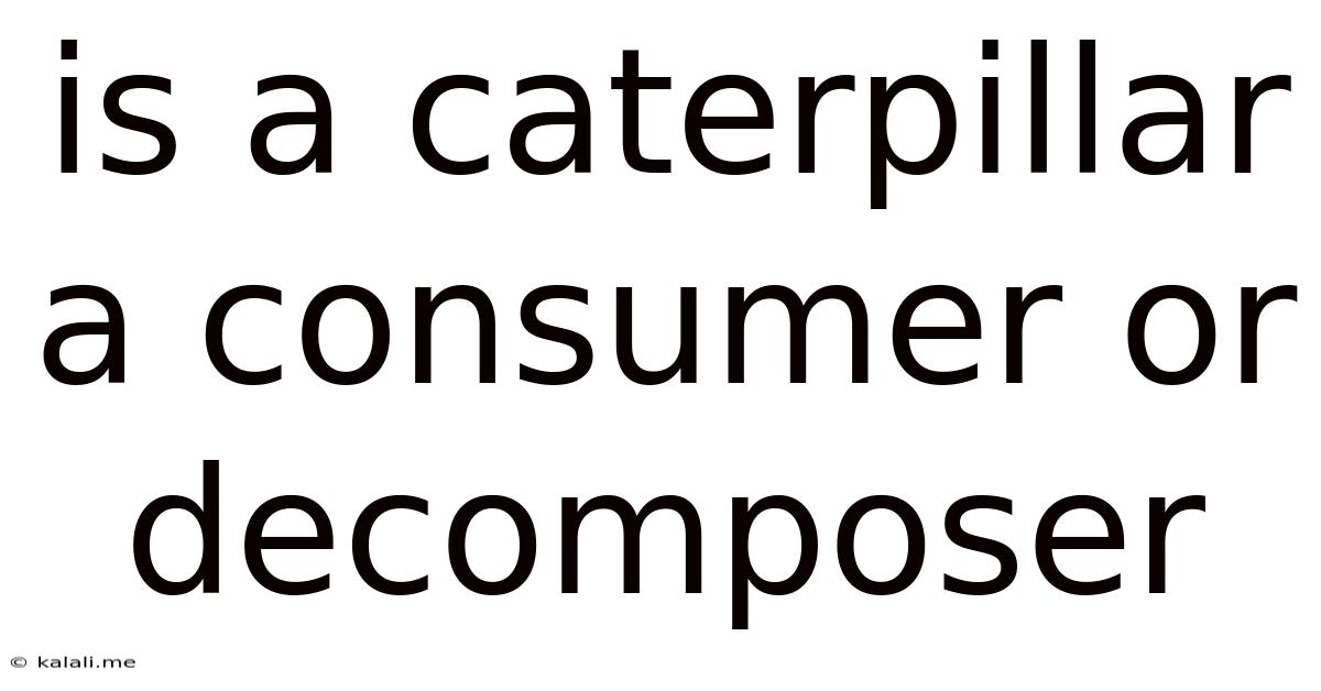 Is A Caterpillar A Consumer Or Decomposer