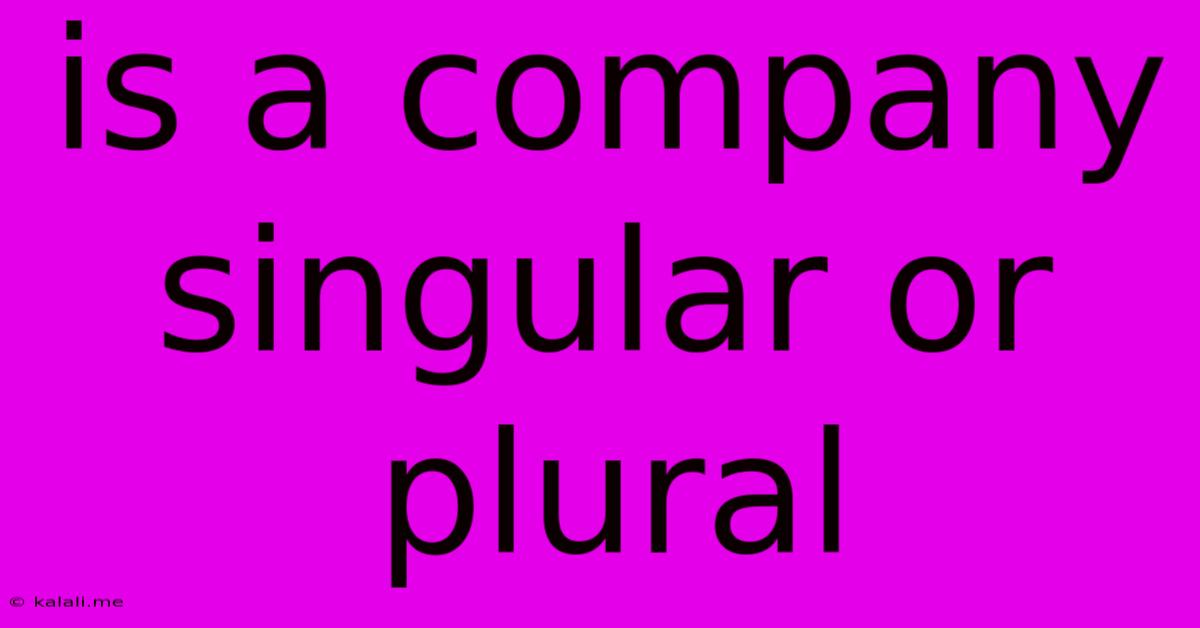 Is A Company Singular Or Plural