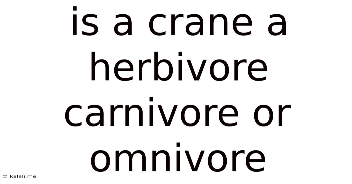 Is A Crane A Herbivore Carnivore Or Omnivore