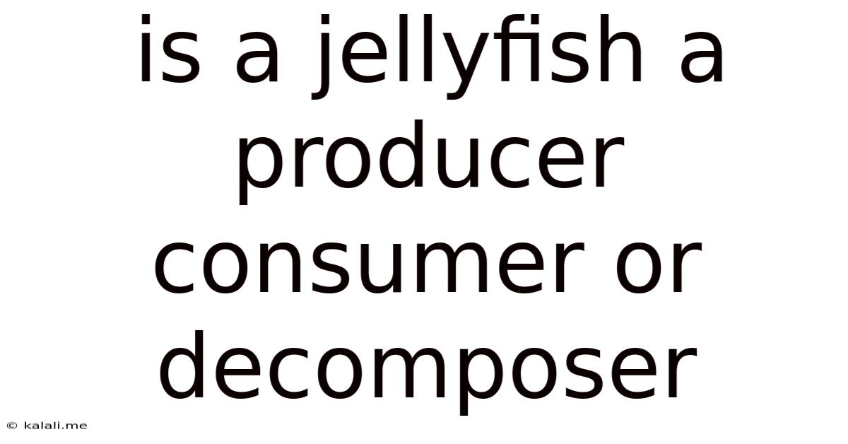 Is A Jellyfish A Producer Consumer Or Decomposer