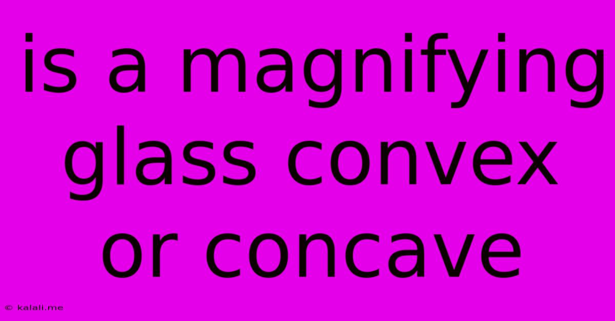 Is A Magnifying Glass Convex Or Concave