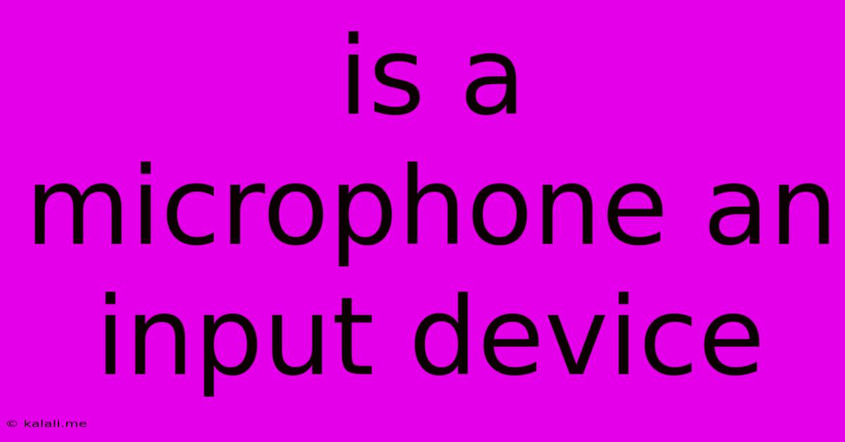 Is A Microphone An Input Device