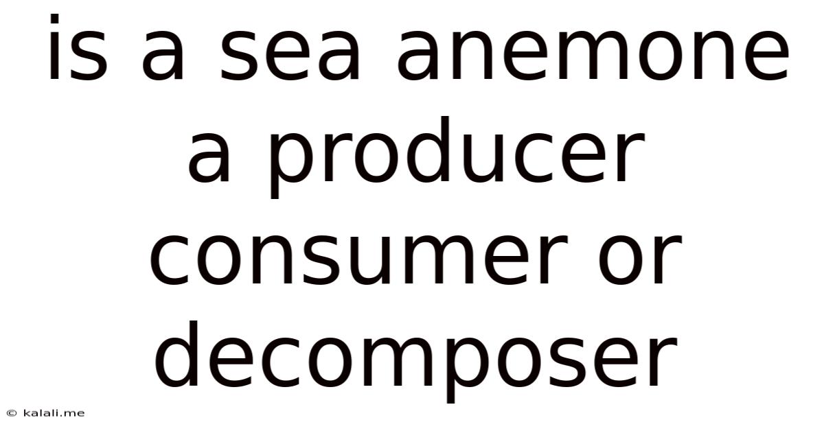 Is A Sea Anemone A Producer Consumer Or Decomposer