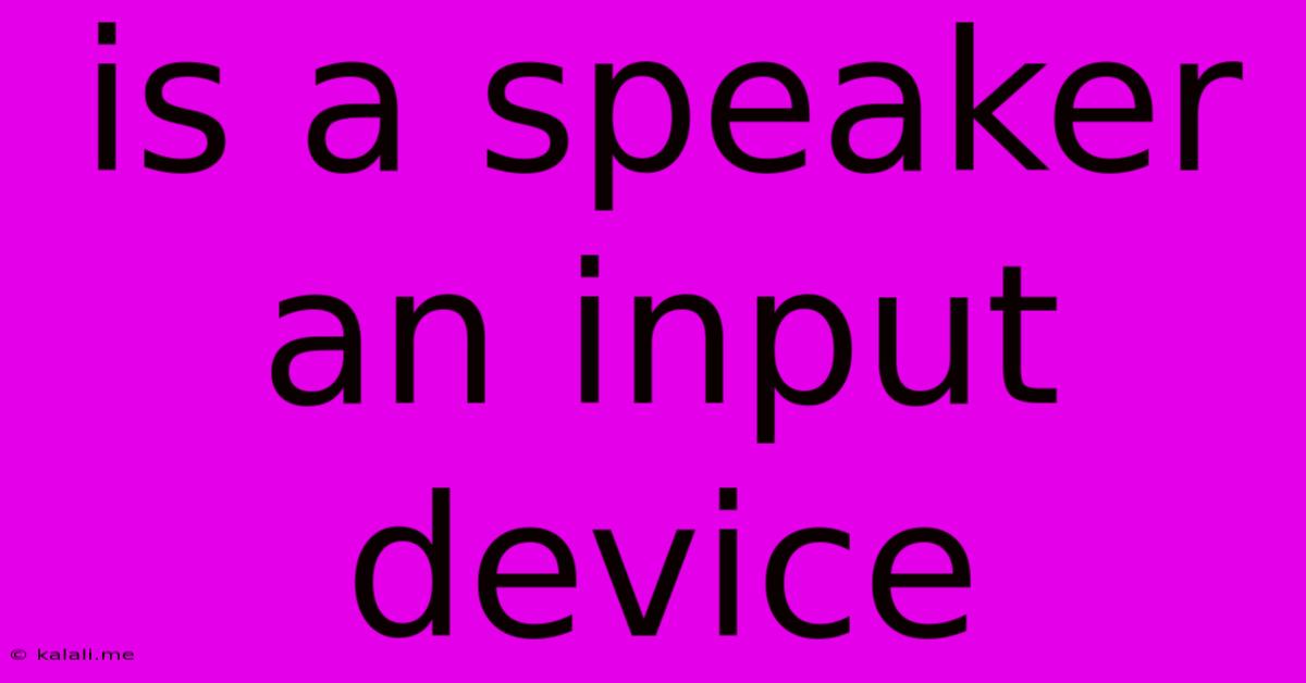 Is A Speaker An Input Device