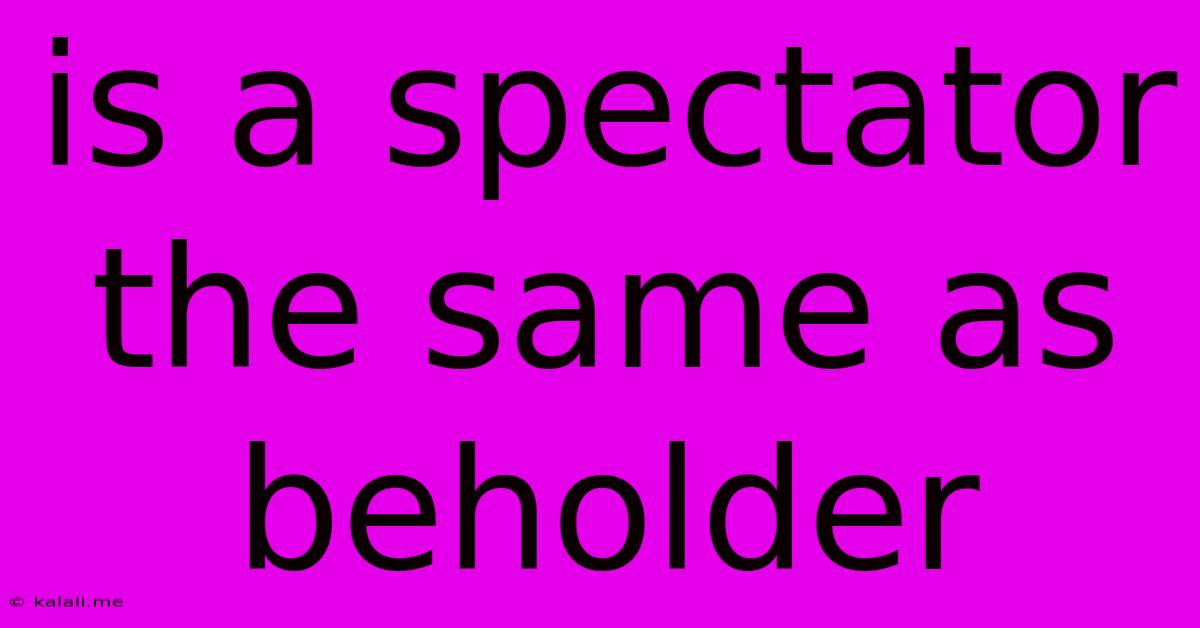 Is A Spectator The Same As Beholder