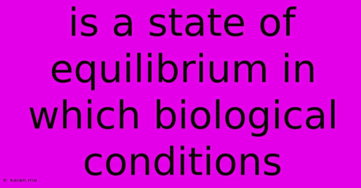 Is A State Of Equilibrium In Which Biological Conditions
