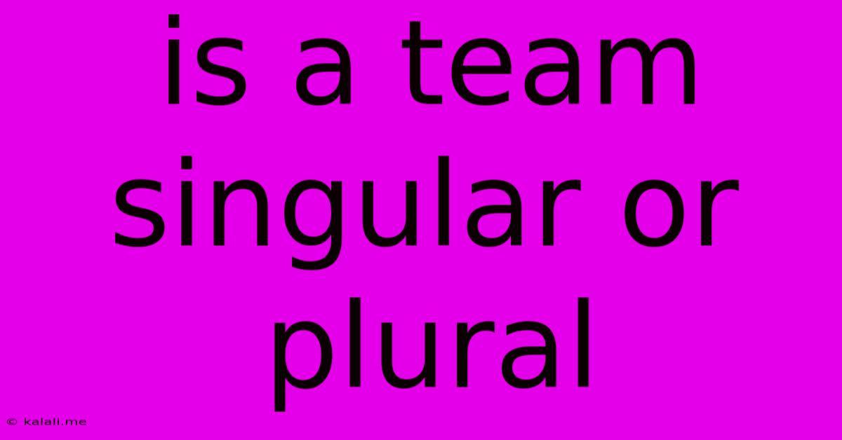 Is A Team Singular Or Plural