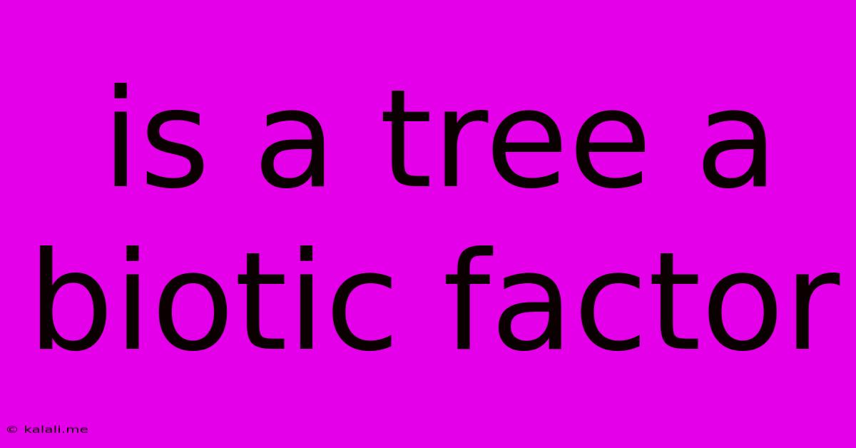 Is A Tree A Biotic Factor