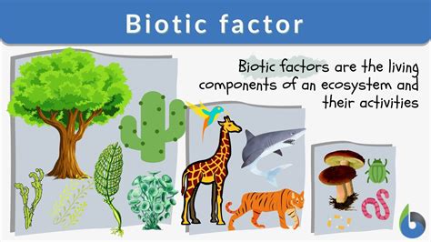 Is A Tree Biotic Or Abiotic