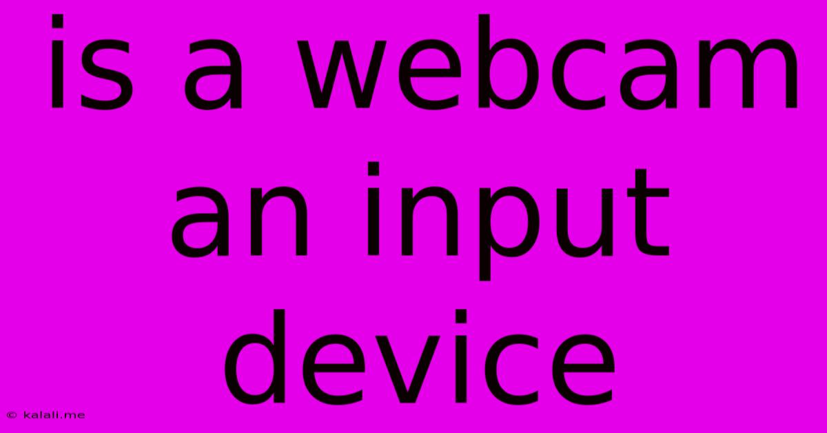 Is A Webcam An Input Device