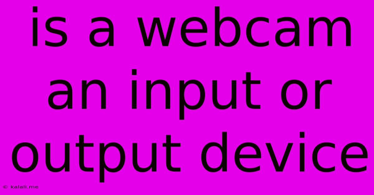 Is A Webcam An Input Or Output Device