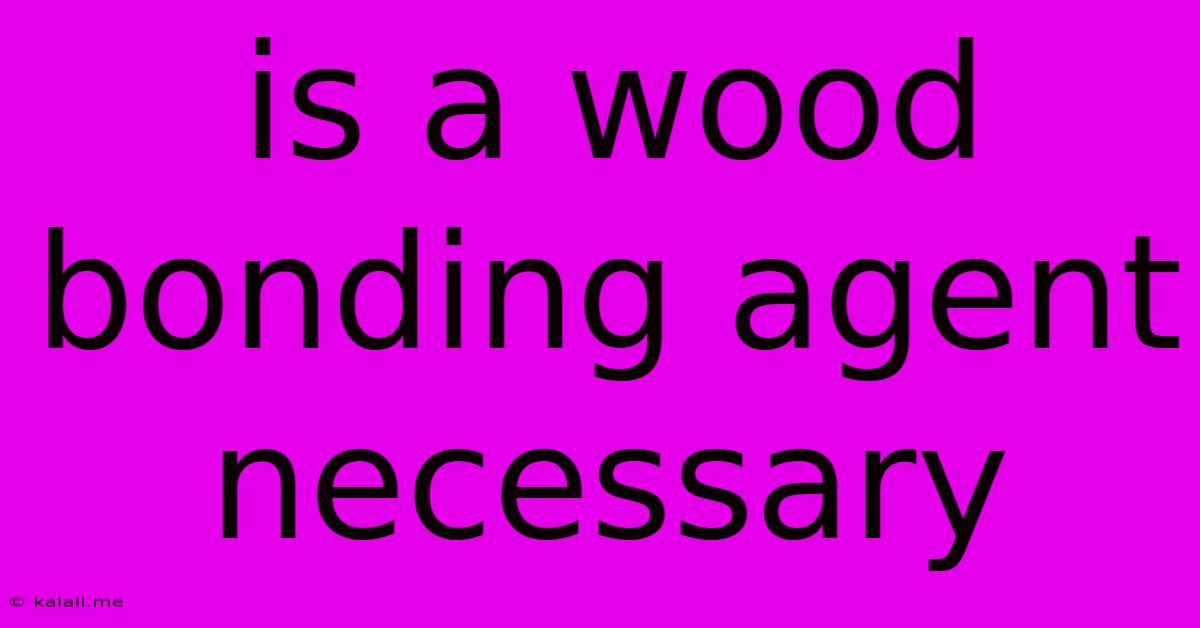 Is A Wood Bonding Agent Necessary